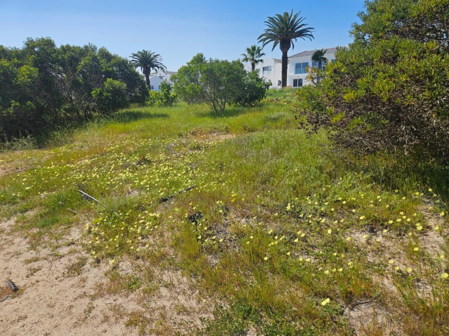 0 Bedroom Property for Sale in Shelley Point Western Cape